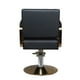 thumbnail image 3 of Silla de peluqueria hidraulica negro dorado, 3 of 3