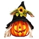 thumbnail image 4 of Ilumine La Linterna De La Calabaza De La Espuma De Halloween Decorativa Para El Estilo C Del Porche De La Mesa De La Casa, 4 of 5