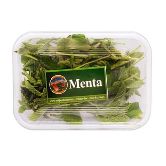 Menta Pote 1 Un