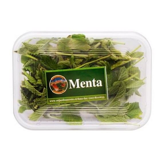 Menta Pote, 1 Un
