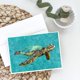 thumbnail image 2 of Paquete de 8 tarjetas de felicitación 5×7 de Caroline's Treasures, 2 of 2