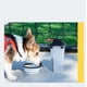 thumbnail image 5 of Vaso de viaje para perros y gatos, 2 en 1, para agua y cereales, con dos cuencos plegables, portátil para viajes al aire libre., 5 of 6