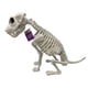 thumbnail image 2 of Perro esqueleto deco 38cm, 2 of 5