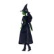 thumbnail image 4 of Muñeca Wicked Elphaba, 4 of 5