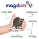thumbnail image 4 of Imanes de nevera Magdum Forest Animal para niños de más de 3 años, 4 of 9