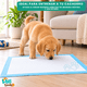 thumbnail image 3 of 100 Pañales Sabanillas Absorbentes Para Mascotas 60x45cm S Desechable, 3 of 7
