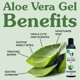 thumbnail image 4 of Gel de Aloe Vera Orgánico Earth's Daughter 237 ml, 4 of 8