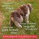 thumbnail image 2 of Suplemento de Arándano para el Tratamiento de Infecciones Urinarias en Perros - 120 Masticables - Native Pet, 2 of 6