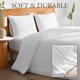 thumbnail image 3 of Juego de ropa de cama de lino DAPU Queen 3 piezas 170 GSM, 3 of 6