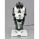 thumbnail image 2 of Trinocular digital para microscopio AmScope SM-1TSW2-L6W-5M, 2 of 6