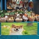 thumbnail image 3 of Shiba Inu Fondo Temático Pancarta Suministros de Decoración para Fiesta de Cumpleaños, Decoración de Fondo de Fiesta Personalizado,150x90cm, 3 of 6