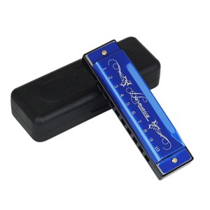 Bothyi - Armónica Deluxe Armónica Diatónica Armónica Regalos Órgano Bucal Profesional Azul