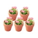 thumbnail image 4 of Plantas En Macetas De Rosas Falsas 1:12 Accesorios De Casa De Mu?ecas Regalos Para Ni?os Rosa, 4 of 5