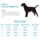 thumbnail image 5 of Albornoz para perros, suave, súper absorbente, de microfibra de lujo, con capucha y cinturón para perros grandes, medianos y pequeños., 5 of 8