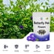 thumbnail image 5 of Té De Flor De Guisante Mariposa Yogi’s Gift 454g Calidad Premium, 5 of 5