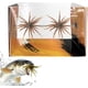 thumbnail image 1 of Señuelo criatura tentáculo plástico blando pesca lubina drop shot wacky rig, 1 of 8