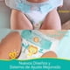 thumbnail image 4 of PAMPERS PREMIUM CARE P36., 4 of 4