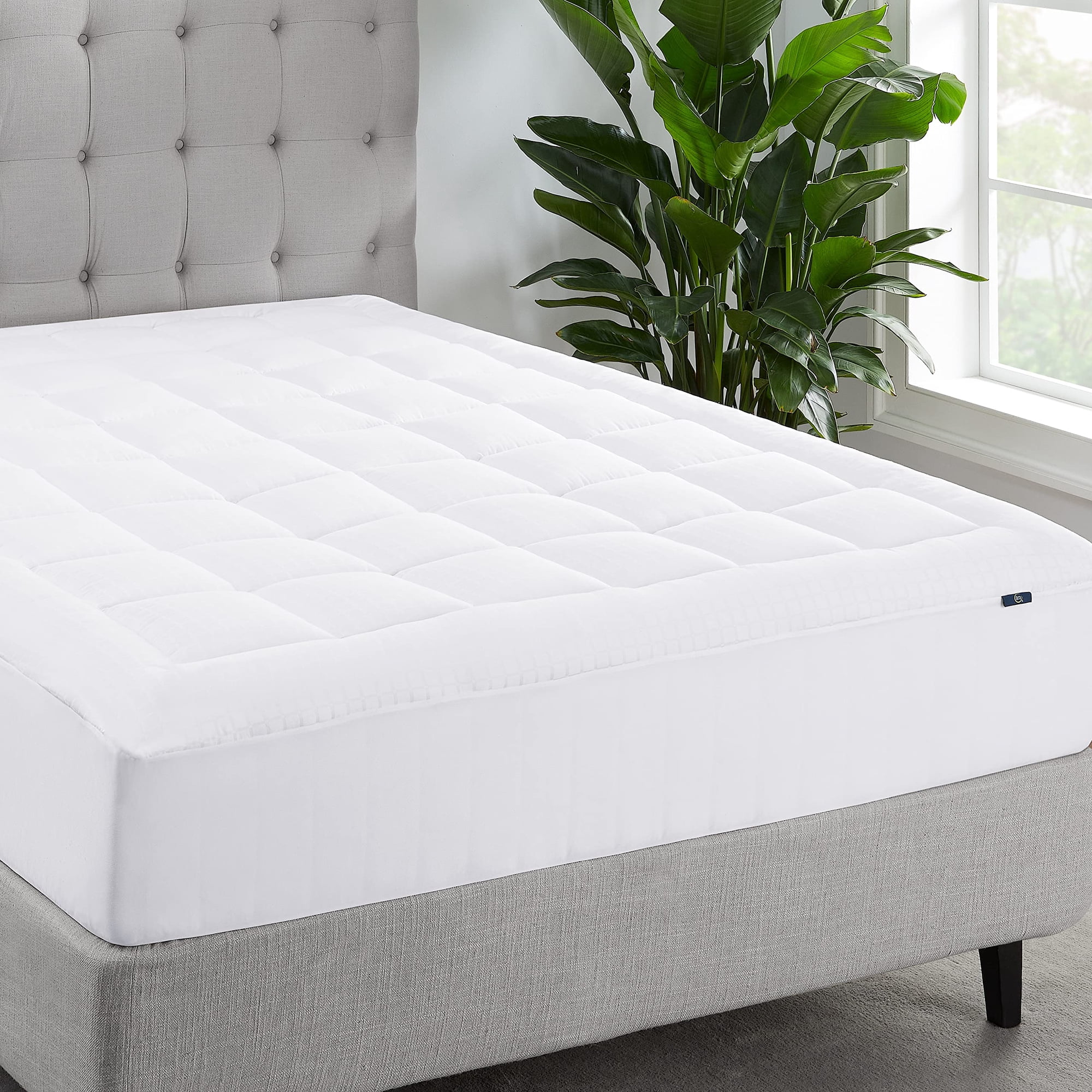 Funda De Colchón Serta Comfortsure Queen, Con Parte Superior Acolchada, Blanca