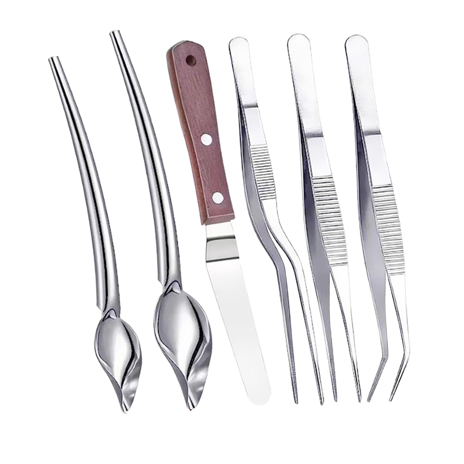 Magideal - 6 Piezas Pinzas Cocina Juego Utensilios Precisión Decoración Acero Inoxidable Herramientas Pastelería Adecuado Para Chefs Repostería Presentación De P
