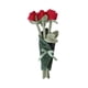 thumbnail image 4 of Bonita Muñeca De Peluche De Flores, Suave, Decoración Para El Hogar, Bonita Y Creativa, Para Esposa, Hija Y Niñas, Color Rojo, 4 of 5