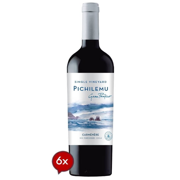 6 Vinos Premium Pichilemu Gran Pacifico Carmenere