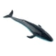 thumbnail image 2 of Ballena Realista Modelo Animal Educación Figura Suave Juguete Para Ni?os Ballena Azul, 2 of 5