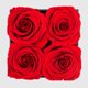 thumbnail image 2 of Flores preservadas Chloe's Graceful Fleurs - 4 rosas rojas, 2 of 5