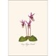 thumbnail image 2 of Set de tarjetas de notas Earth Sky + Water – 8 tarjetas surtidas, 2 of 5