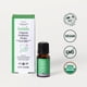 thumbnail image 5 of Gotas probióticas Bobbie Organic Baby, 8 ml, mil millones de CFU, veganas, 5 of 6