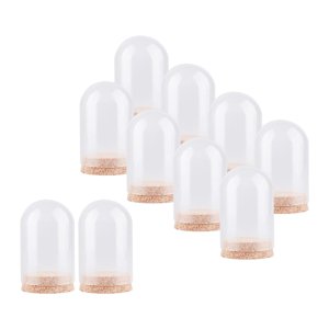 Magideal - 10X Cúpula De Exhibición Transparente Con Base De Madera Decoración Regalo De Cumpleaños Coleccionables Decoración De Mesa Artesanías Protectoras Diy