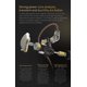 thumbnail image 3 of Auriculares intrauditivos CCA C12 5BA+1DD con micrófono y cable desmontable - Amber Gold, 3 of 8
