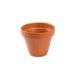 thumbnail image 4 of Macetero Kony Terracota 8 cm, 4 of 5