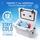 thumbnail image 2 of Paquetes de hielo reutilizables Everlasting Ice RX Cooler (paquete de 4), 2 of 6