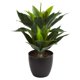 thumbnail image 1 of Planta artificial de agave casi natural de 53 cm con maceta, 1 of 3