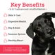 thumbnail image 3 of Suplemento para Perros VetPro Complete 120 Masticables Blandos Grandes, 3 of 8