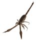 thumbnail image 1 of Insectos De Arcilla Altamente Simulados Animales Aleatorios Modelo De Color Juguetes Escorpión, 1 of 5