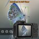 thumbnail image 3 of Cámara subacuática SPUNALP UHD 8K 70MP impermeable hasta 10 m, WiFi, color naranja, 3 of 8
