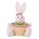 thumbnail image 1 of Canasto De Conejo De Pascua, Canasto Tejida A Mano, Canastos De Huevos De Pascua Adorables Reutilizables Para Mujer, 1 of 3