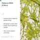thumbnail image 5 of Toalla de cocina GEOMETRY 46 cm Golden Botanica (1 unidad), 5 of 9