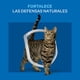 thumbnail image 3 of Alimento Seco Gato Adulto Sabor Carne Bolsa, 3 Kg, 3 of 5