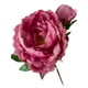thumbnail image 2 of Peonia Con Boton Rosa Oscuro 54cm Con Acabado Natural, 2 of 3