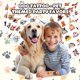 thumbnail image 2 of Tatuajes temporales para perros – 120 unidades – para niños, 2 of 8