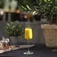 thumbnail image 2 of Grape Set De 2 Copas Champagne, 2 of 3
