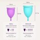 thumbnail image 3 of Kit completo de copas menstruales EcoBlossom, tallas pequeñas y grandes, 3 of 9