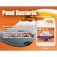 thumbnail image 2 of Pond Bacteria Pond Worx concentrado para estanques grandes, 960 ml, 2 of 5