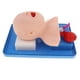 thumbnail image 3 of Modelo De Práctica Repetida De Cánula De Tubo De Aire De Maniquí De Intubación Infantil, 3 of 4