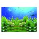 thumbnail image 1 of Fondo De Imagen De Pez De Planta Adhesivo único 3D De Alta Definición Para Acuario XS, 1 of 5
