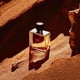 thumbnail image 3 of Perfume Hermes Terre D' Hermes Parfum EDP 75 ml Hombre, 3 of 3