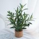 thumbnail image 2 of Planta artificial Ewtogift de olivo de 30 cm con maceta rústica, 2 of 9