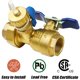 thumbnail image 3 of Kit de válvulas de servicio para calentadores de agua sin tanque Iococee 3/4 pulgadas IPS, 3 of 7